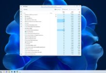 Windows 11 Explorer process