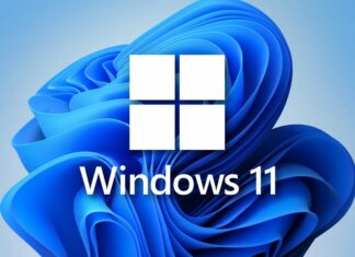 Windows 11 KB5025305 update